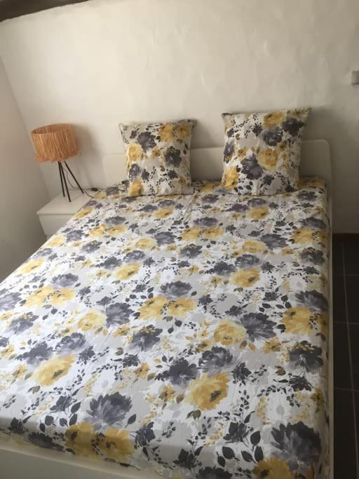 Logement Insolite Au Coeur D'Une Ecurie Arles Extérieur photo