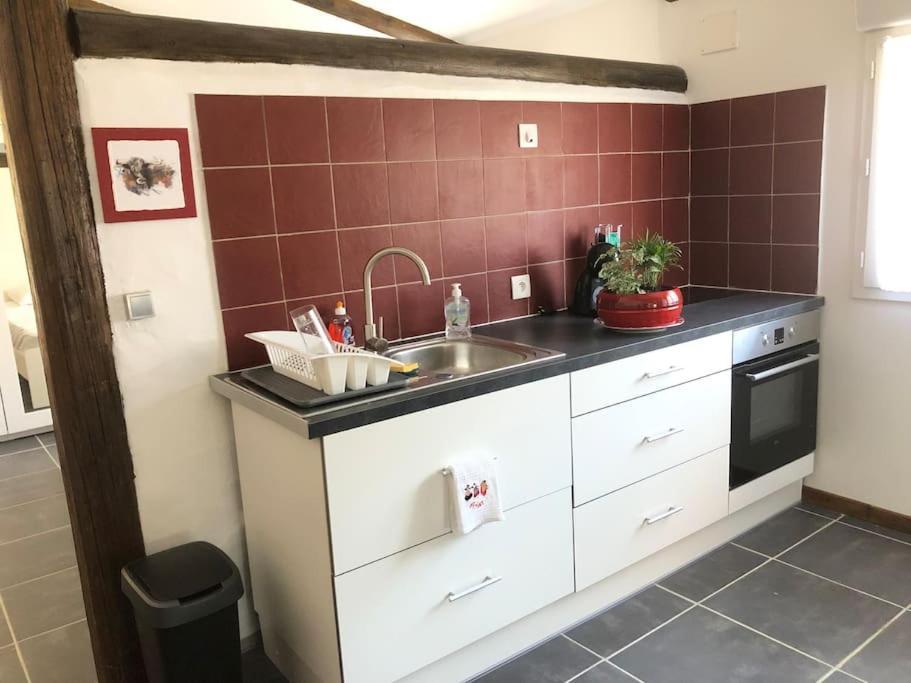 Logement Insolite Au Coeur D'Une Ecurie Arles Extérieur photo