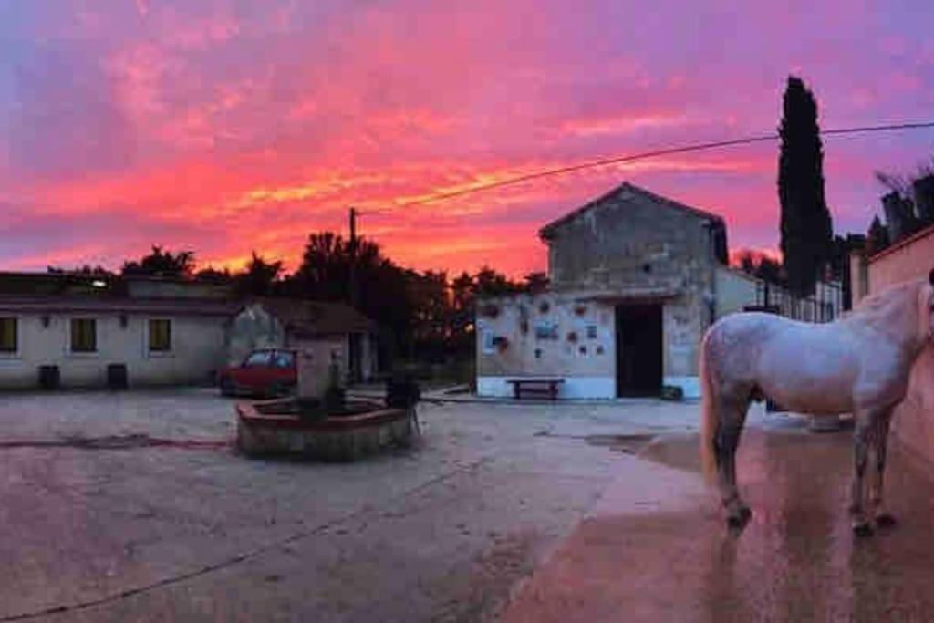 Logement Insolite Au Coeur D'Une Ecurie Arles Extérieur photo