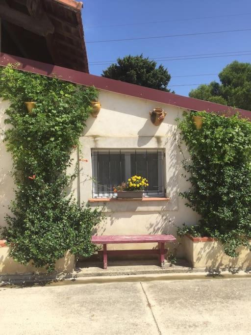 Logement Insolite Au Coeur D'Une Ecurie Arles Extérieur photo