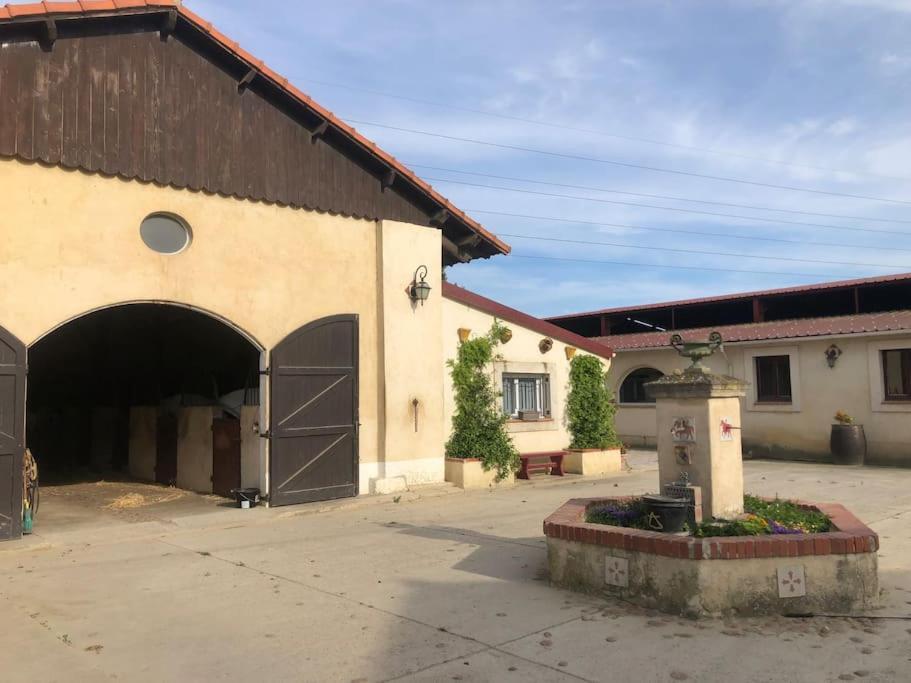 Logement Insolite Au Coeur D'Une Ecurie Arles Extérieur photo