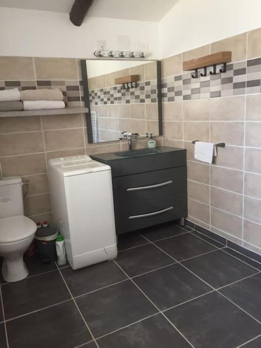 Logement Insolite Au Coeur D'Une Ecurie Arles Extérieur photo