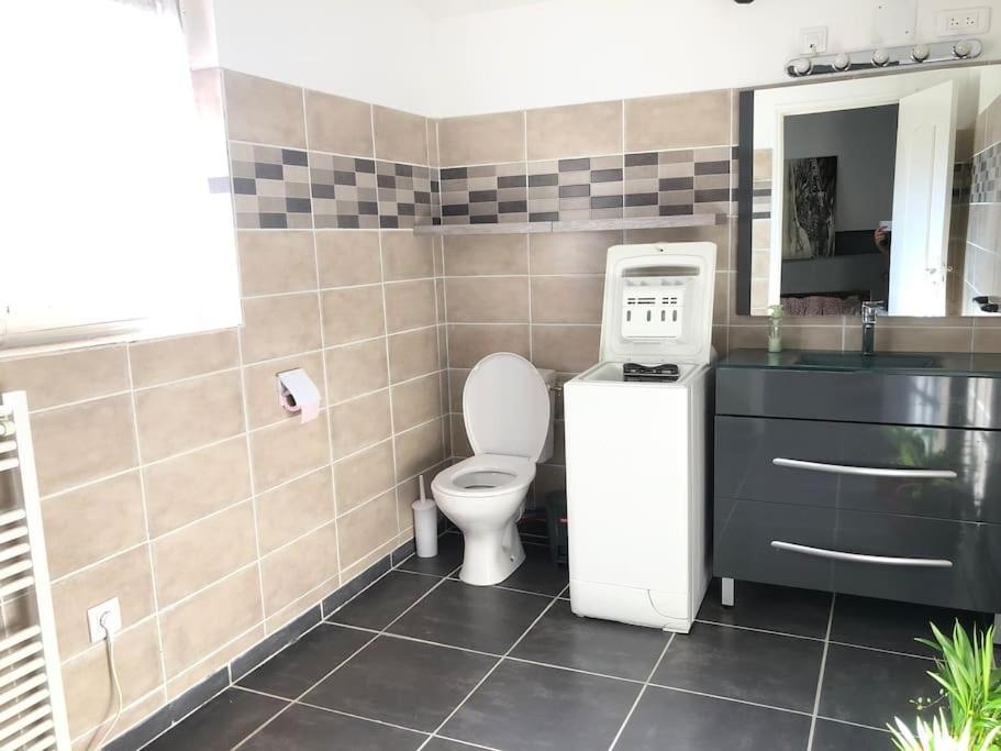 Logement Insolite Au Coeur D'Une Ecurie Arles Extérieur photo